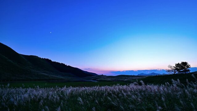 夕暮れから天の川にかけての月夜の曾爾高原のライトアップのタイムラプス動画