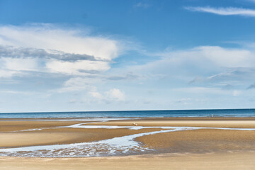 Fototapeta na wymiar the beach at low tide in De Panne, Belgium 