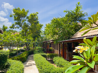 Green trees and bushes path with villas inside tropical resort on sunny day. Summer holidays,...