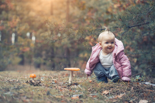 Cute little girl picking mushrooms in summer forest, looks at non edible poisonous mushrooms toadstools in forest, kids outdoor activities