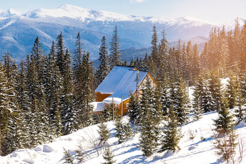 spruce pine trees and retro wooden village rural house in snow in winter forest in mountains,.