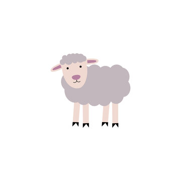 Cute Vector Sheep isolated on White Background