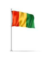 Guinean flag isolated on white