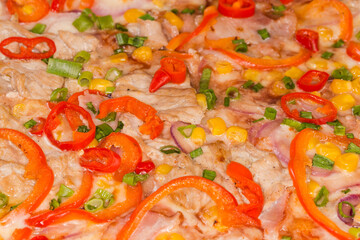 Cooked spicy pizza with different meat, fragment close-up