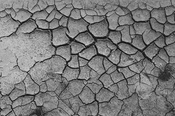Waiting for monsoon to arrive. Cracks in dry earth due to lack of rain. Dry season in northern part of Sri Lanka.