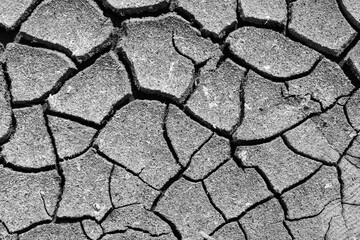 Waiting for monsoon to arrive. Cracks in dry earth due to lack of rain. Dry season in northern part of Sri Lanka.