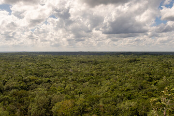 Fototapeta na wymiar jungle landscape with clouds