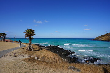 fascinating seaside walkway and island