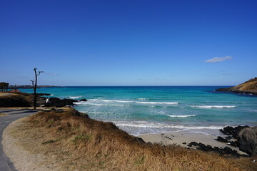 fascinating seaside walkway and island