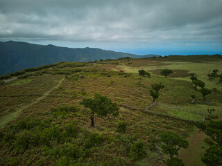 Fototapeta na wymiar Drone view to Fanal on Madeira mystic trees and forest