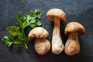 raw porcini mushrooms on dark marble table background     