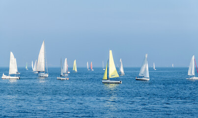 Fototapeta premium Group of sailboats in the sea