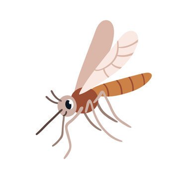 Cute mosquito. Funny gnat insect with wings and proboscis, trunk. Happy smiling sweet adorable flying character. Childish flat graphic vector illustration isolated on white background