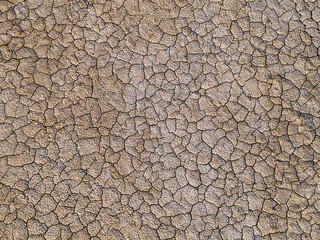 Cracked earth from drought. Global warming, cataclysm. Climate change and dry weather. Economic crisis, food crisis. Poor harvest due to dry weather. Soil erosion. The dried-up mouth of the river.