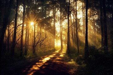 Obraz premium Sunset Or Sunrise In Forest Landscape. Sun Sunshine With Natural Sunlight And Sun Rays Through Woods Trees In Summer Forest. Beautiful Scenic View. Natural Real Lens Flare Effect. High quality