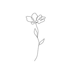 Continuous Line Drawing Of Flower Black Sketch Isolated on White Background. Simple Flower One Line Illustration. Minimalist Botanical Drawing. Vector EPS 10.