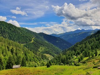 Naklejka premium landscape in summer