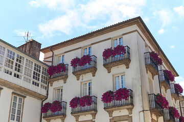 Balconies of a building with pink floral decorations