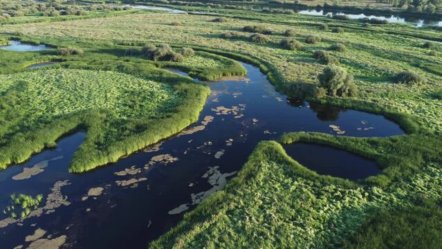 Aerial view of river channels in summer.