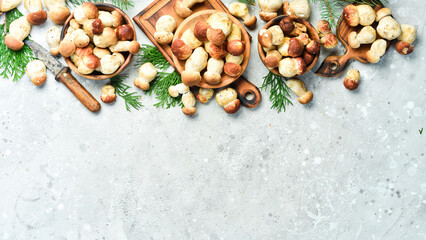 Background of mushrooms. Porcini Mushrooms on a gray stone table. Organic forest food. Top view. On a stone background.