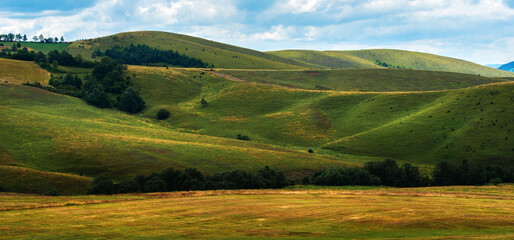 Obraz premium Green Zlatibor mountain hill landscape with beautiful clouds in background