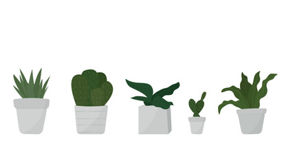 Set of decorative indoor plants for home or office interior. Vector illustration