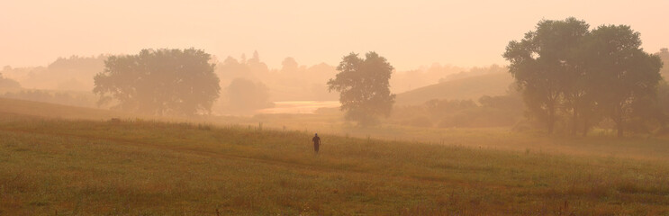 Fototapeta na wymiar morning mist in a field in autumn and a beautiful tree