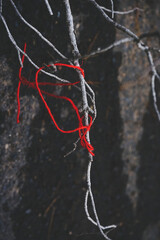 Red thread tangled in a dry branch