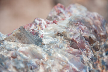 Petrified forest e painted desert in california