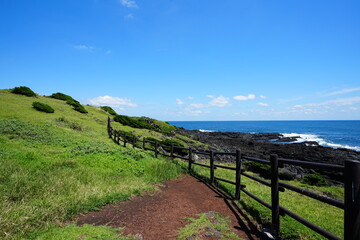 Fototapeta na wymiar beautiful seaside view with pathway