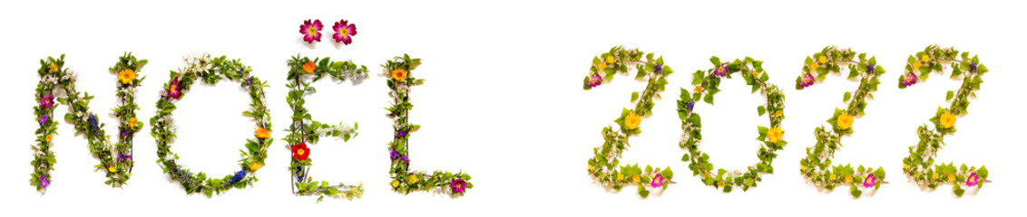 Flower And Blossom Letter Building Word Noel 2022 Means Christmas 2022