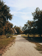 Traditional wood houses and nature landscape