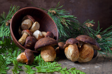 Imleria Badia or Boletus badius mushrooms commonly known as the bay bolete and clay bowl with mushrooms on vintage wooden background.