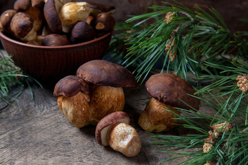Imleria Badia or Boletus badius mushrooms commonly known as the bay bolete and clay bowl with mushrooms on vintage wooden background..
