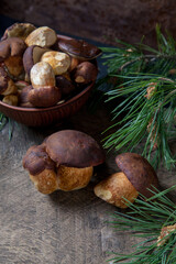 Imleria Badia or Boletus badius mushrooms commonly known as the bay bolete and clay bowl with mushrooms on vintage wooden background..