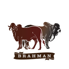 brahman couple cattle logo, silhuoette of red healthy cow standing vector illustrations - obrazy, fototapety, plakaty