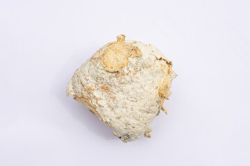 A moldy burger bun shot from above on a subject with a blurry white background.