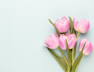 Pink tulip flowers on pastel background.