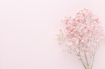 Beautiful flower background of pink gypsophila flowers. Flat lay, top view. Floral pattern.