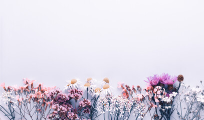 Alternative medicine. Medicinal herbs flowers, on a pastel background. Top view, copy space, banner.