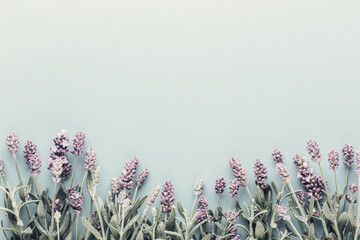 Flowers composition, frame made of lavender flowers on pastel background. - 535455047