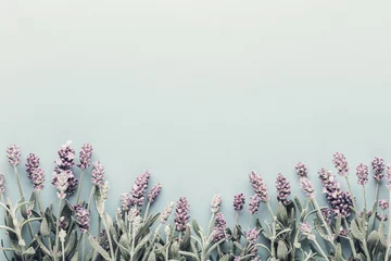 Foto auf Acrylglas Flowers composition, frame made of lavender flowers on pastel background. © gitusik