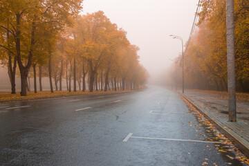 Empty roadway on a foggy autumn morning. Yellow lindens with falling leaves. Leaf fall in the city park.
