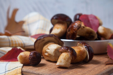 Several Imleria Badia or Boletus badius mushrooms commonly known as the bay bolete and vintage pan with mushrooms on wooden cutting board..