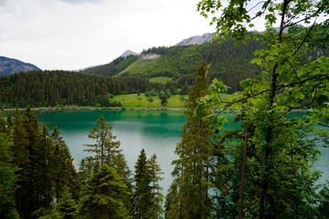 Fototapeta na wymiar hiking trail overlooking scenic emerald-green alpine lake Haldensee surrounded by lush green woods in the Alps of the Tannheim valley or Tannheimer Tal, Tirol, Austria