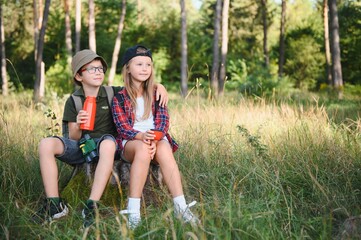 Fototapeta premium Two happy children having fun during forest hike on beautiful day in pine forest. Cute boy scout with binoculars during hiking in summer forest. Concepts of adventure, scouting and hiking tourism