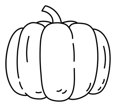 Pumpkin. Vegetable sketch. Thin simple outline icon. Black contour line doodle hand drawn illustration