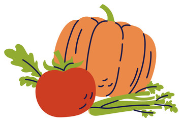 Vegetable still life. Pumpkin, tomato and celery. Color illustration set