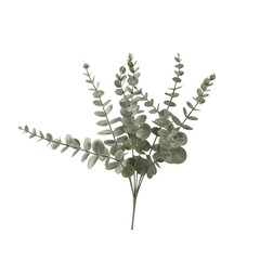 Leaf cutout, Png file.