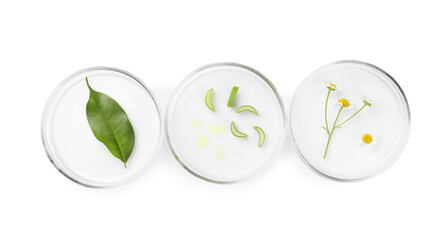 Petri dishes with different plants isolated on white, top view